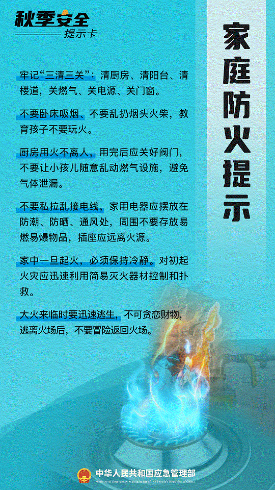 6.gif